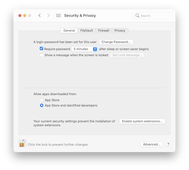 screenshot of the 'Security & Privacy' preference pane, with text 'Your current security settings prevent the installation of system extensions' and a button labelled 'enable system extensions…'.